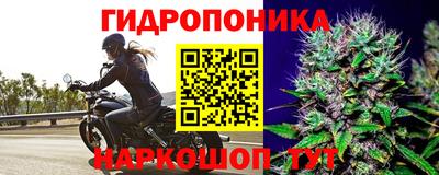 гашик Долгопрудный